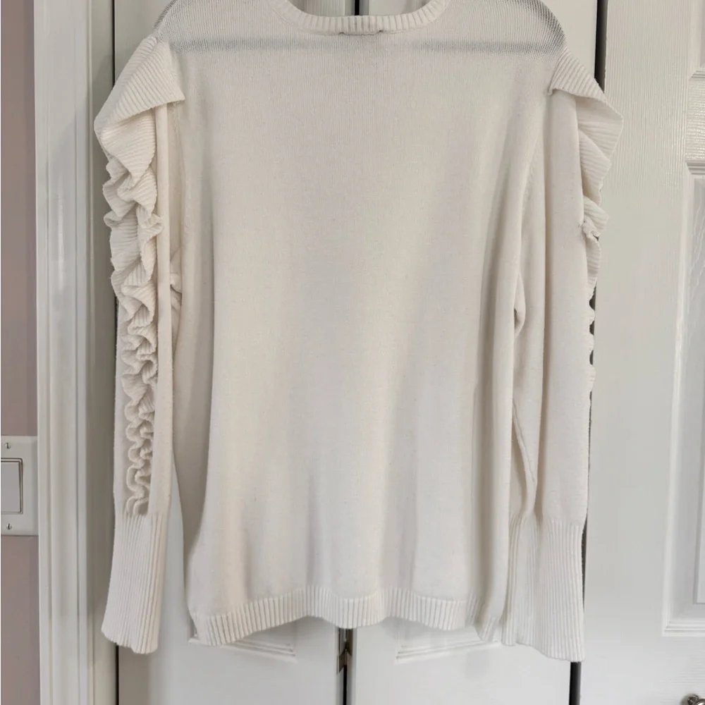 Express Sweater with Ruffle Sleeves - Picture 3 of 3